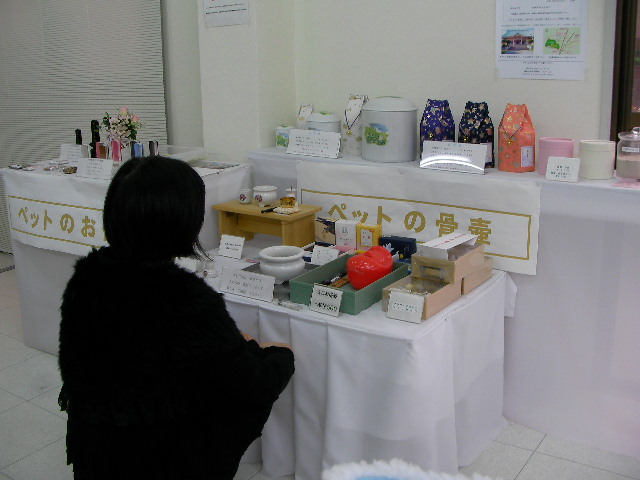 Sany5563