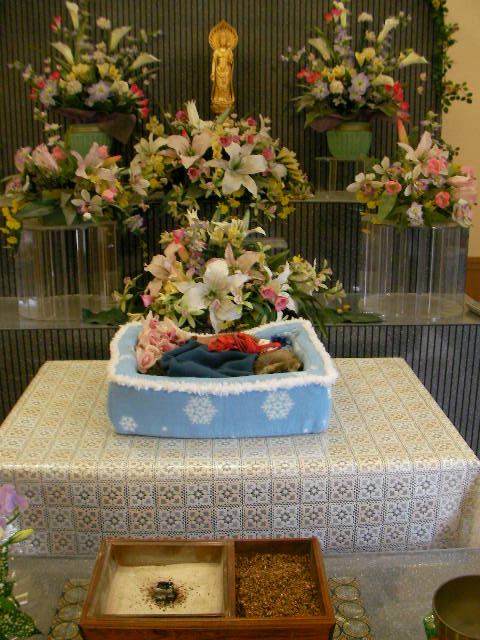 Sany5567
