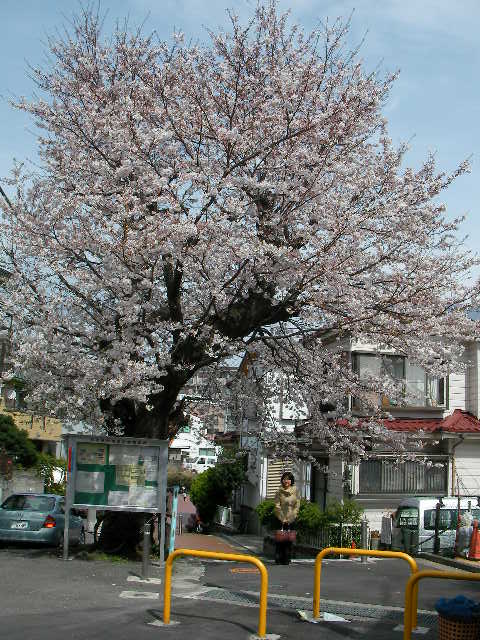 Sany5913