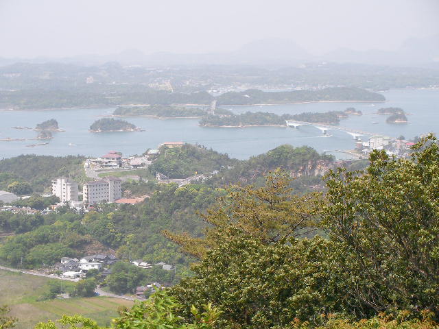 Sany0645