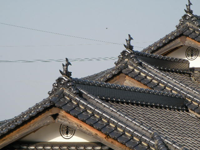 Sany0672