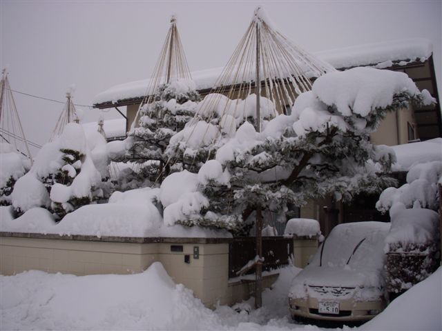 Dscn0162 Dscn0162